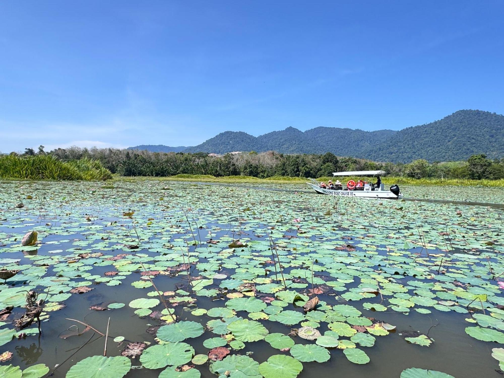 Branda Kampung Sumpitan Lenggong Tiada Sungai Hotel Kampong Ulu Jepai ภายนอก รูปภาพ